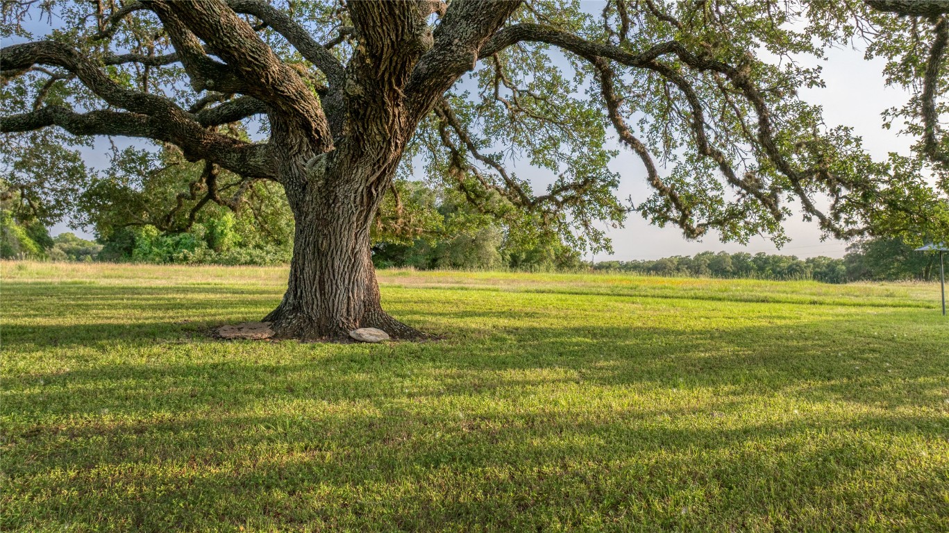 10209 Seward Plantation Road Brenham, TX 77833 - Photo 18 of 30