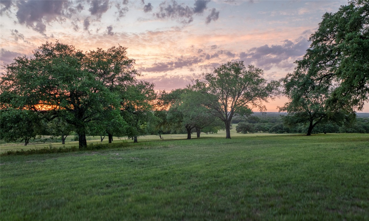 10209 Seward Plantation Road Brenham, TX 77833 - Photo 20 of 30