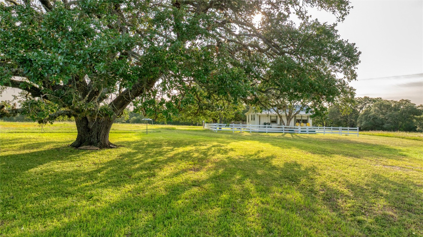 10209 Seward Plantation Road Brenham, TX 77833 - Photo 21 of 30
