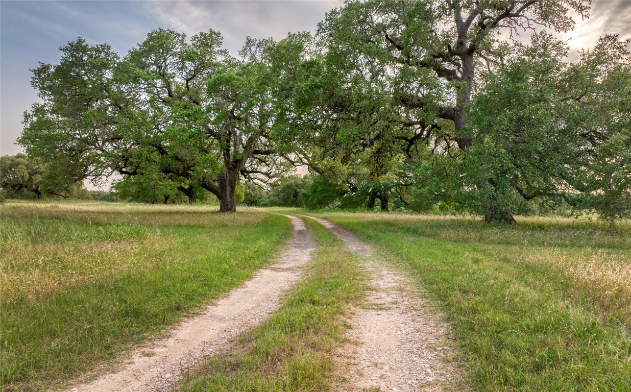 10209 Seward Plantation Road Brenham, TX 77833 - Photo 29 of 30