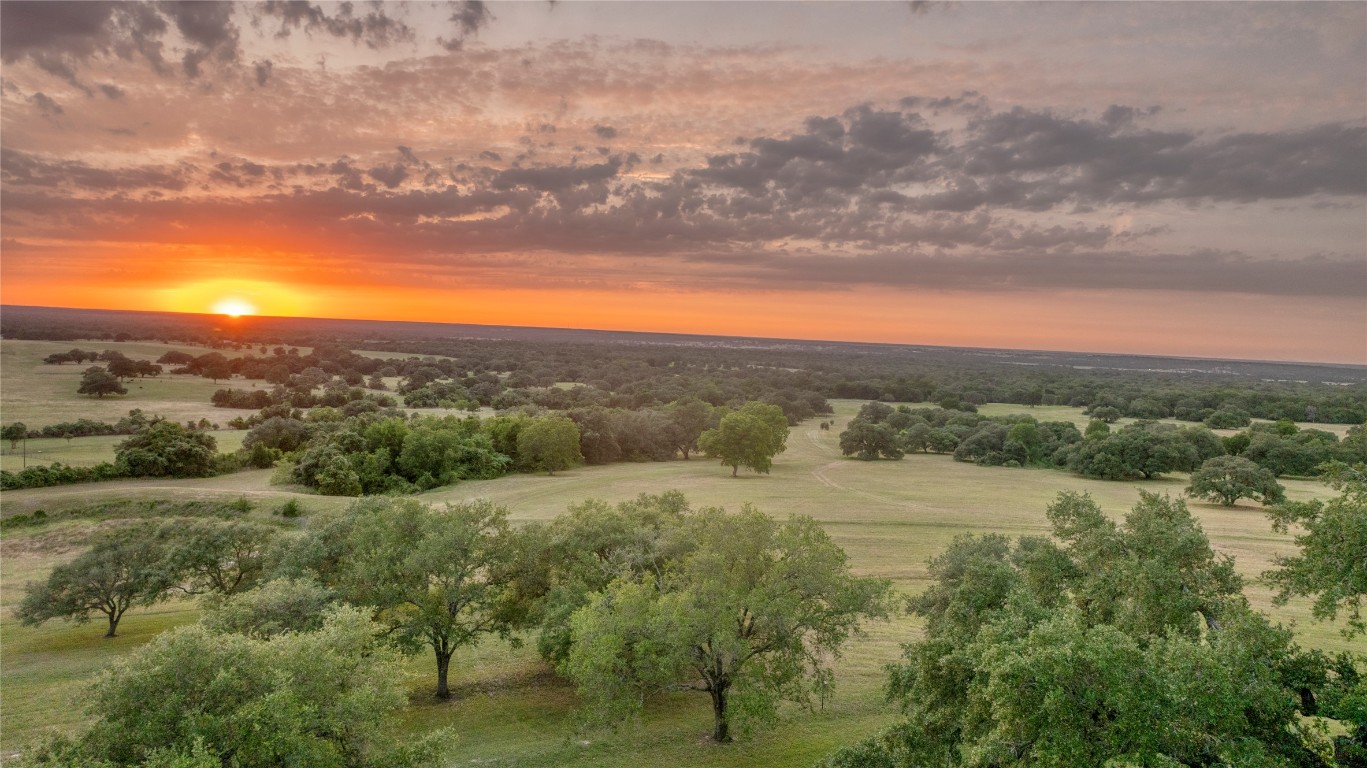 10209 Seward Plantation Road Brenham, TX 77833 - Photo 30 of 30