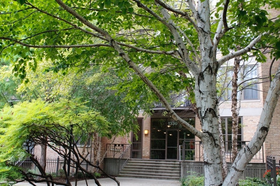 1330 West Monroe Street, Unit 311 Chicago, IL 60607 - Photo 2 of 23