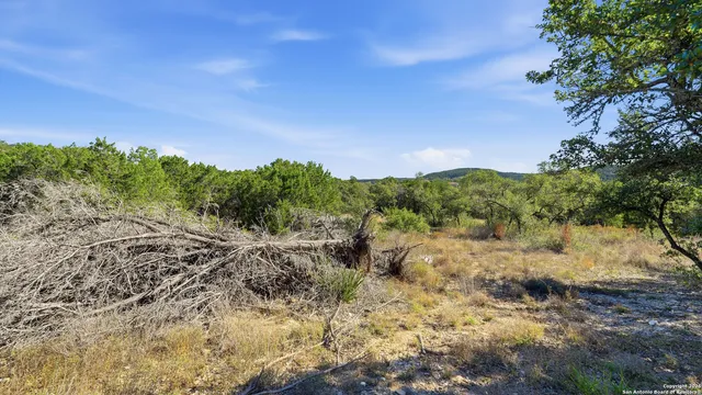 a view of a field with trees in the background