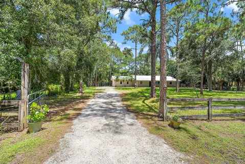 a view of a park with large trees