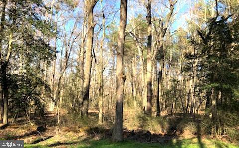 11 Newton Road Preston, MD 21655 - Photo 2 of 2