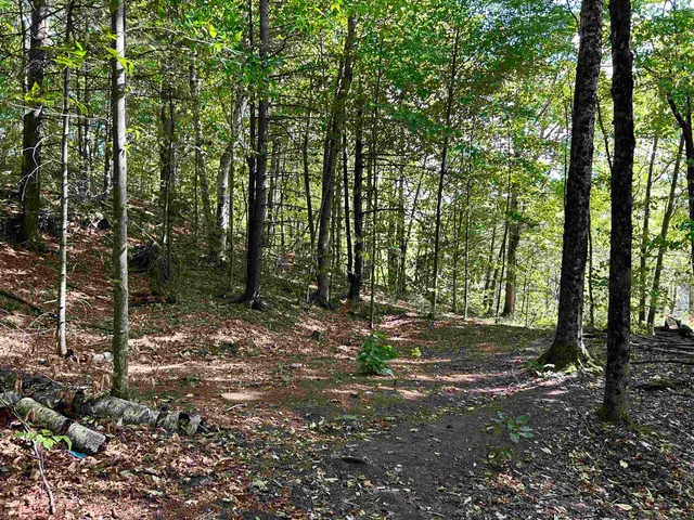 $190,000 | 0 Gar Road, East Calais, VT 05650