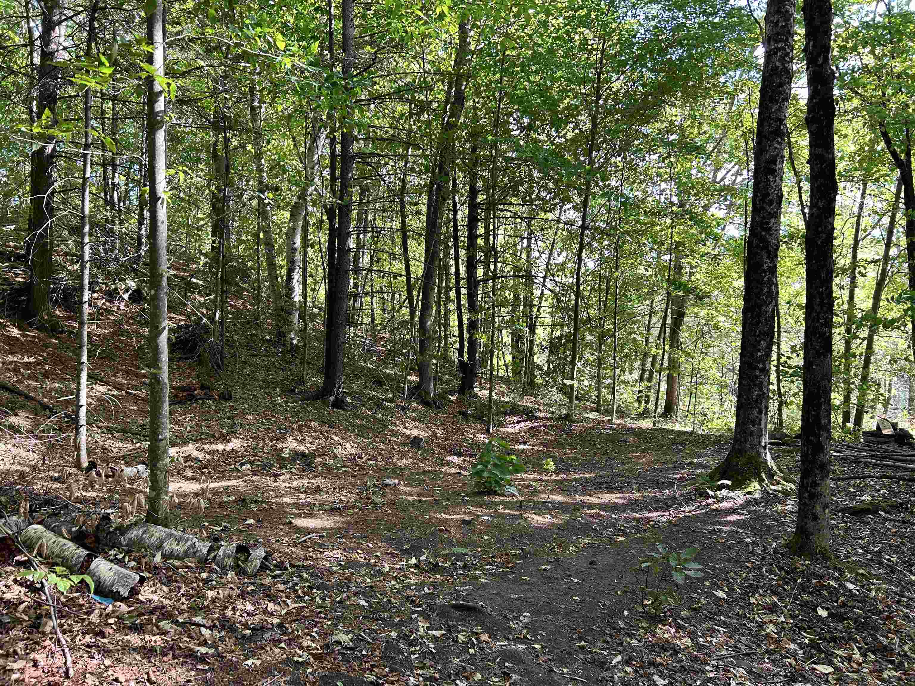 0 Gar Road East Calais, VT 05650 - Photo 6 of 10