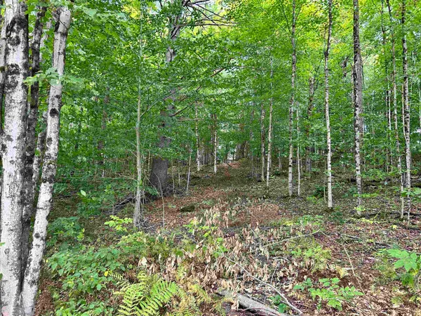 $190,000 | 0 Gar Road, East Calais, VT 05650