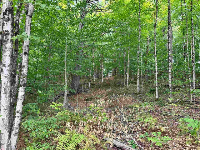 $190,000 | 0 Gar Road, East Calais, VT 05650