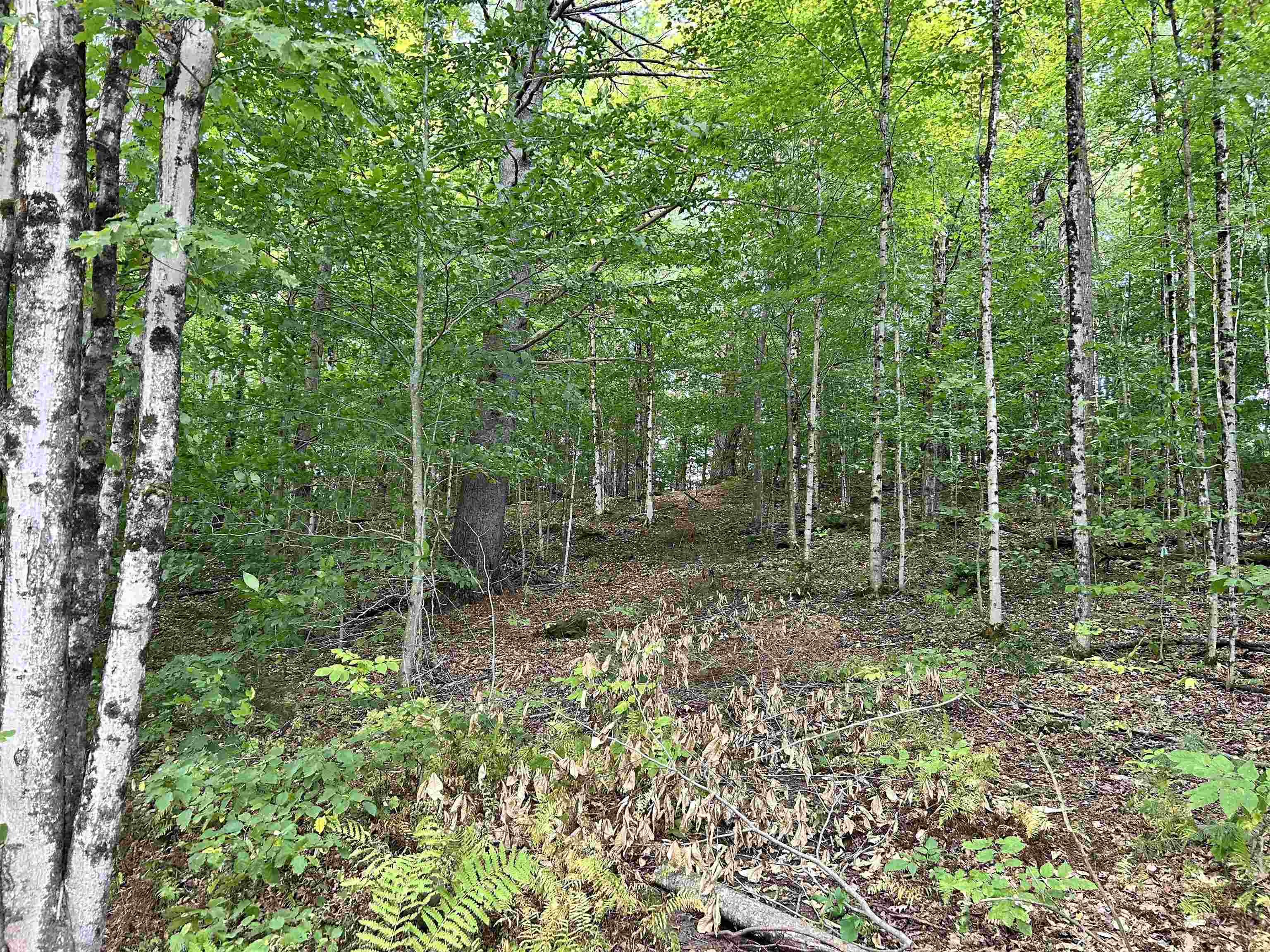 0 Gar Road East Calais, VT 05650 - Photo 8 of 10