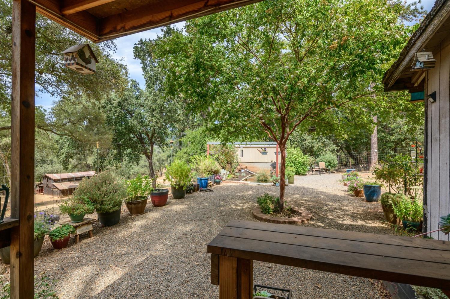 1641 Needmore Drive Shingle Springs, CA 95682 - Photo 20 of 40 a view of a street with sitting area