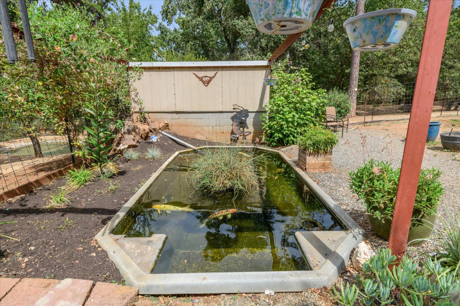 1641 Needmore Drive Shingle Springs, CA 95682 - Photo 21 of 40 an aerial view of a house with a yard potted plants and large tree