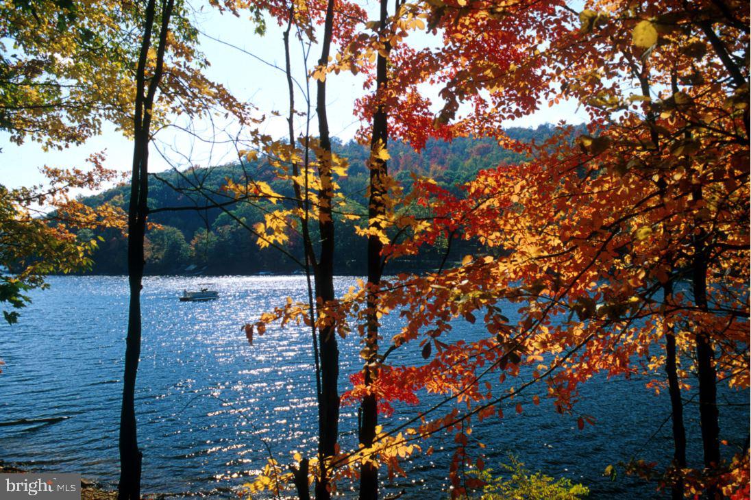 79 Marsh Hill Road, Unit 5 McHenry, MD 21541 - Photo 45 of 48 Fall at Deep Creek Lake
