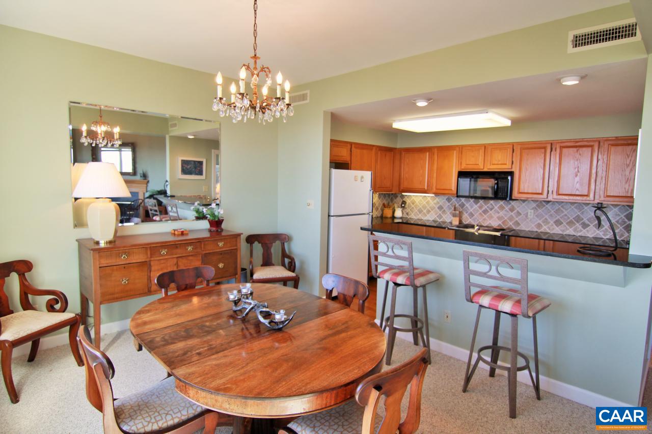 1815 High Ridge Court Wintergreen, VA 22967 - Photo 24 of 32 Gallery Image 24