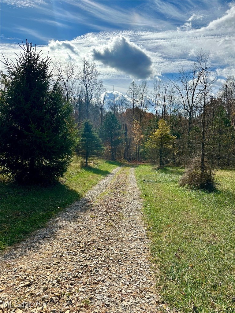 Pleasant Ridge Road Belmont, OH 43718 - Photo 6 of 38 View of gravel road leading to the gate