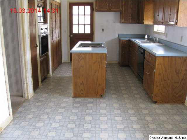 364 Highway 9 Piedmont, AL 36272 - Photo 5 of 13
