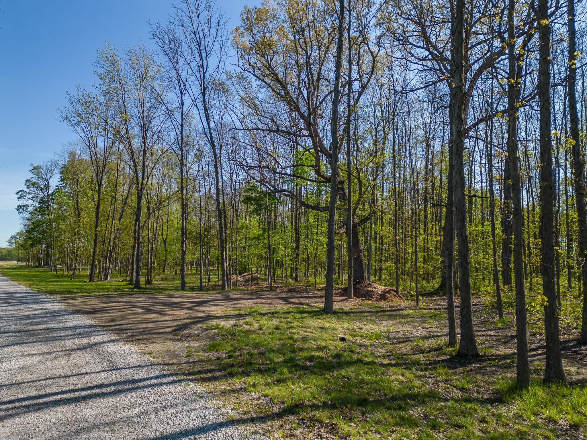 5387 Dildine Road Delaware, OH 43015 - Photo 10 of 37 8