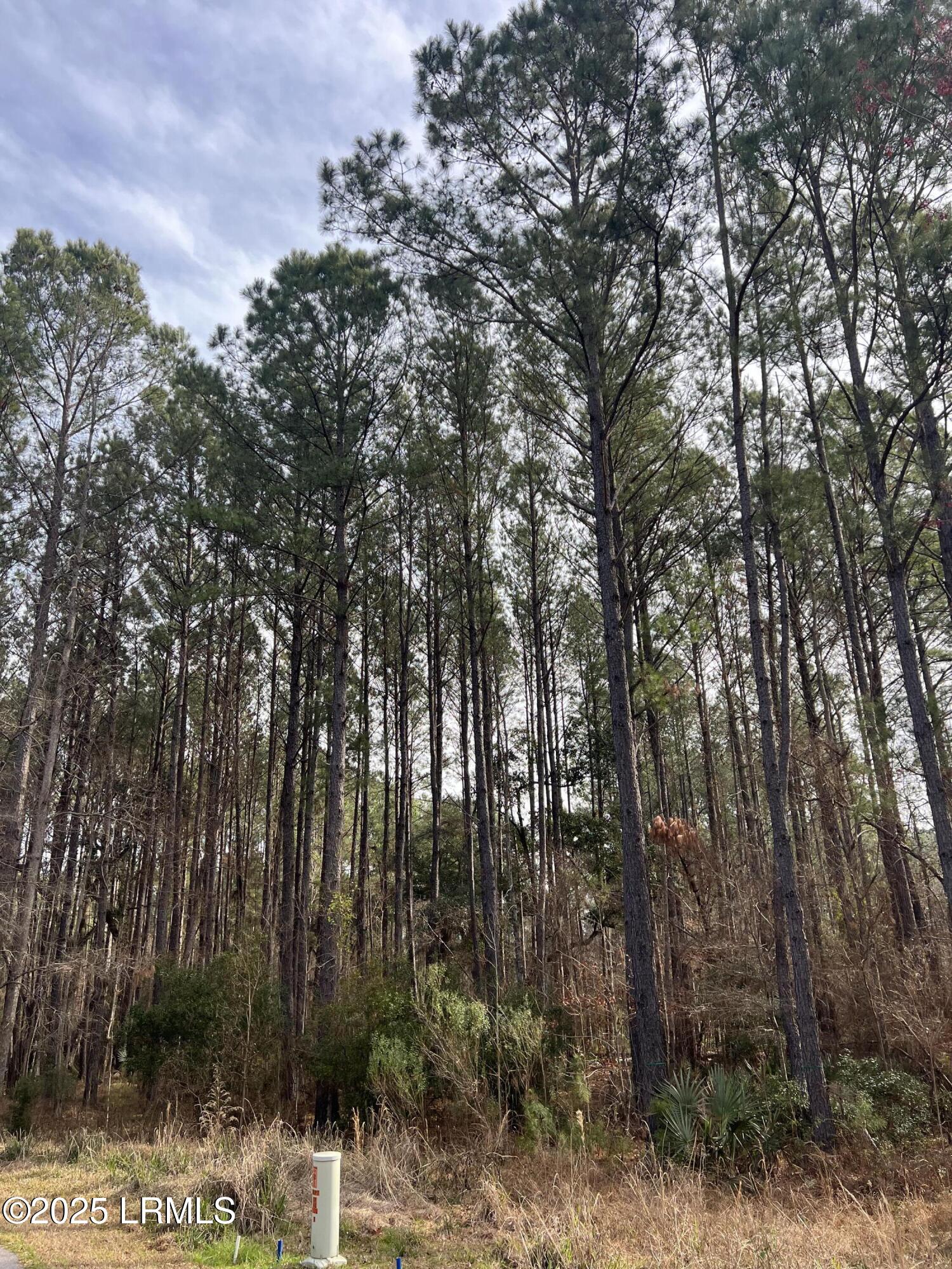 0 Chicora Lane Yemassee, SC 29945 - Photo 2 of 11 IMG_9963