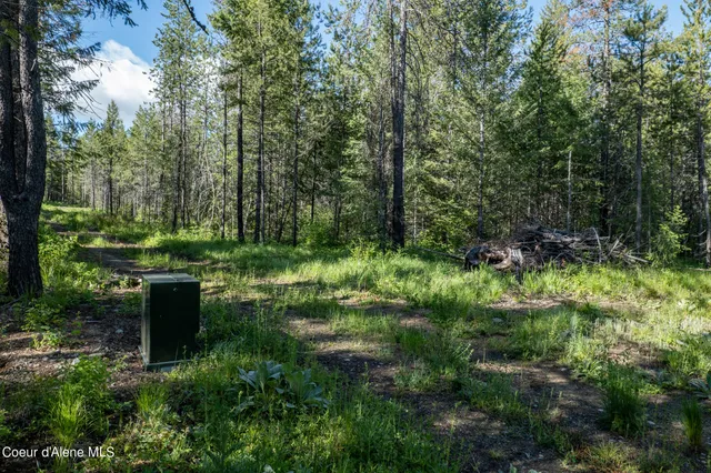 $189,500 | Nka Lot 4 Nka, Spirit Lake, ID 83869