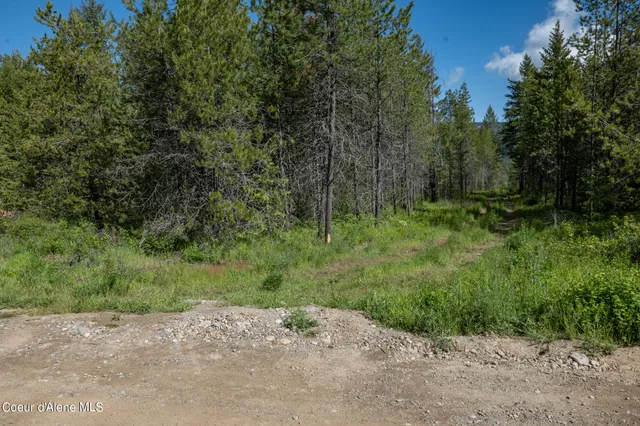 $189,500 | Nka Lot 4 Nka, Spirit Lake, ID 83869