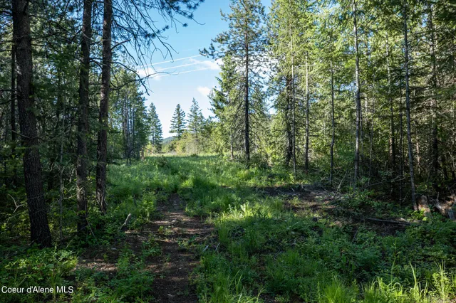 $189,500 | Nka Lot 4 Nka, Spirit Lake, ID 83869