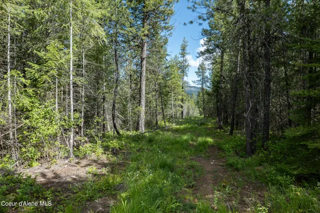 $189,500 | Nka Lot 4 Nka, Spirit Lake, ID 83869