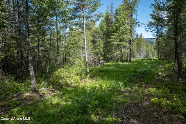 $189,500 | Nka Lot 4 Nka, Spirit Lake, ID 83869