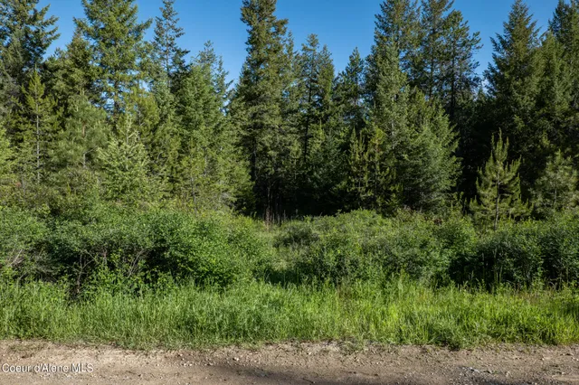 $189,500 | Nka Lot 4 Nka, Spirit Lake, ID 83869