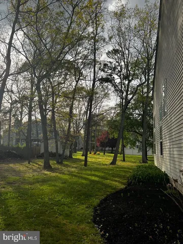a view of park with trees