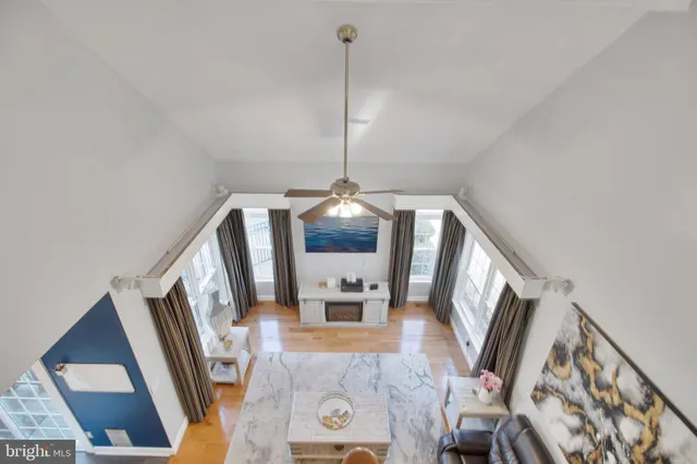 a view of a yard with plants and trees