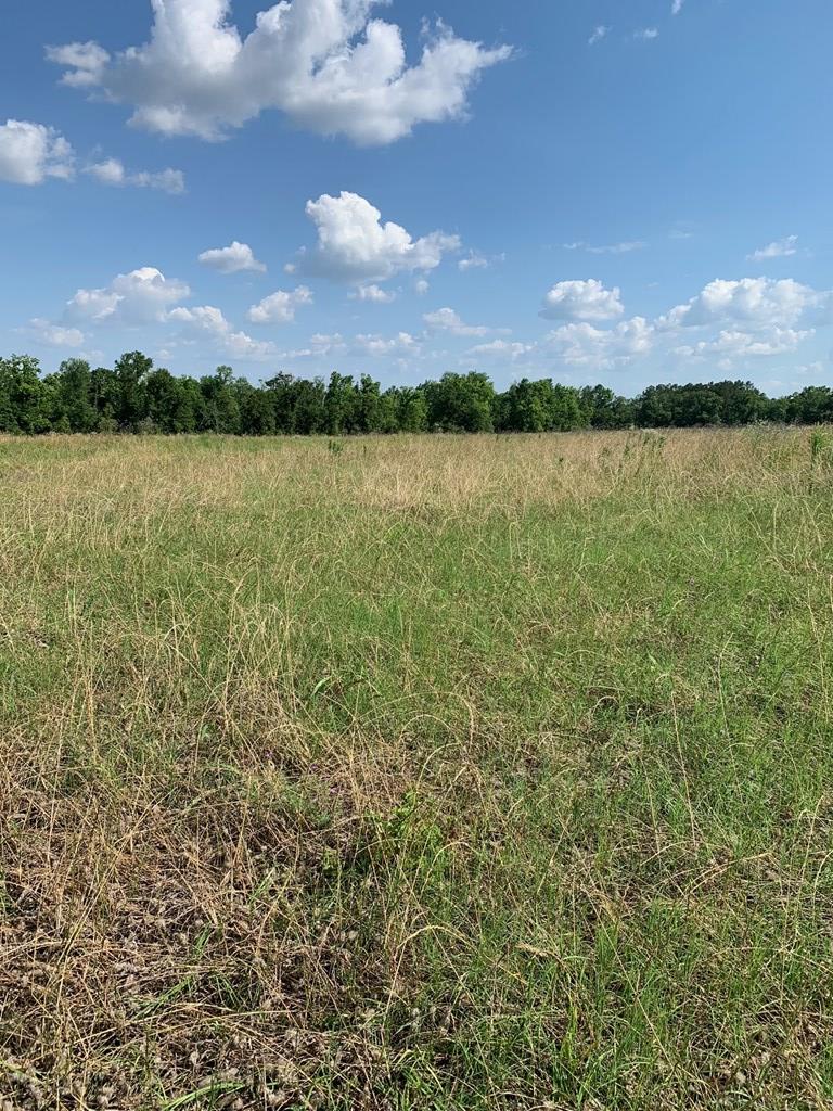 Lot 3 South Co Road Headland, AL 36345 - Photo 10 of 11
