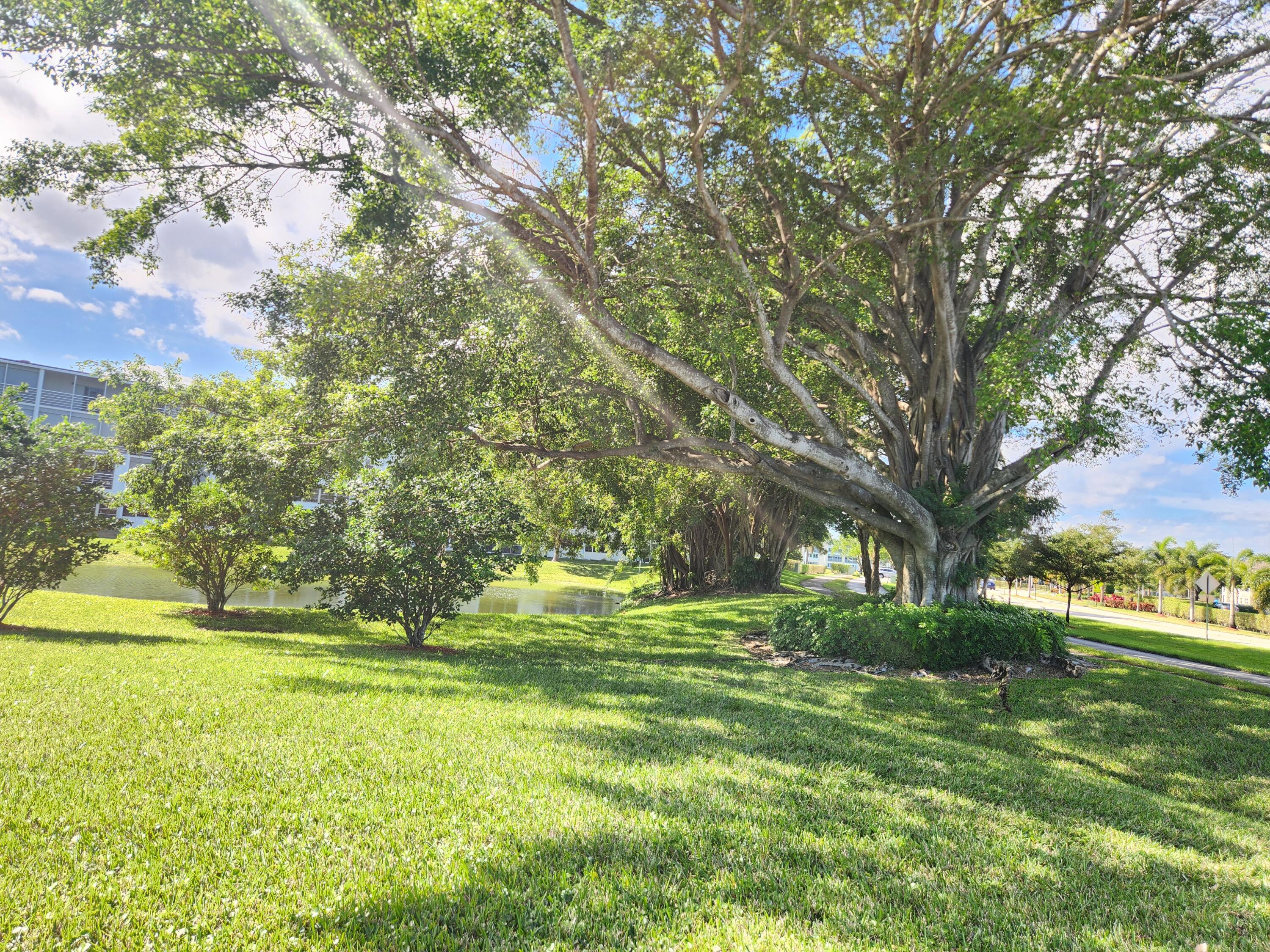 3025 Newcastle B Boca Raton, FL 33434 - Photo 17 of 22 landscape