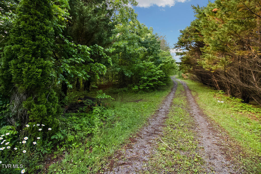 415 Christman Way Greeneville, TN 37743 - Photo 44 of 51 43