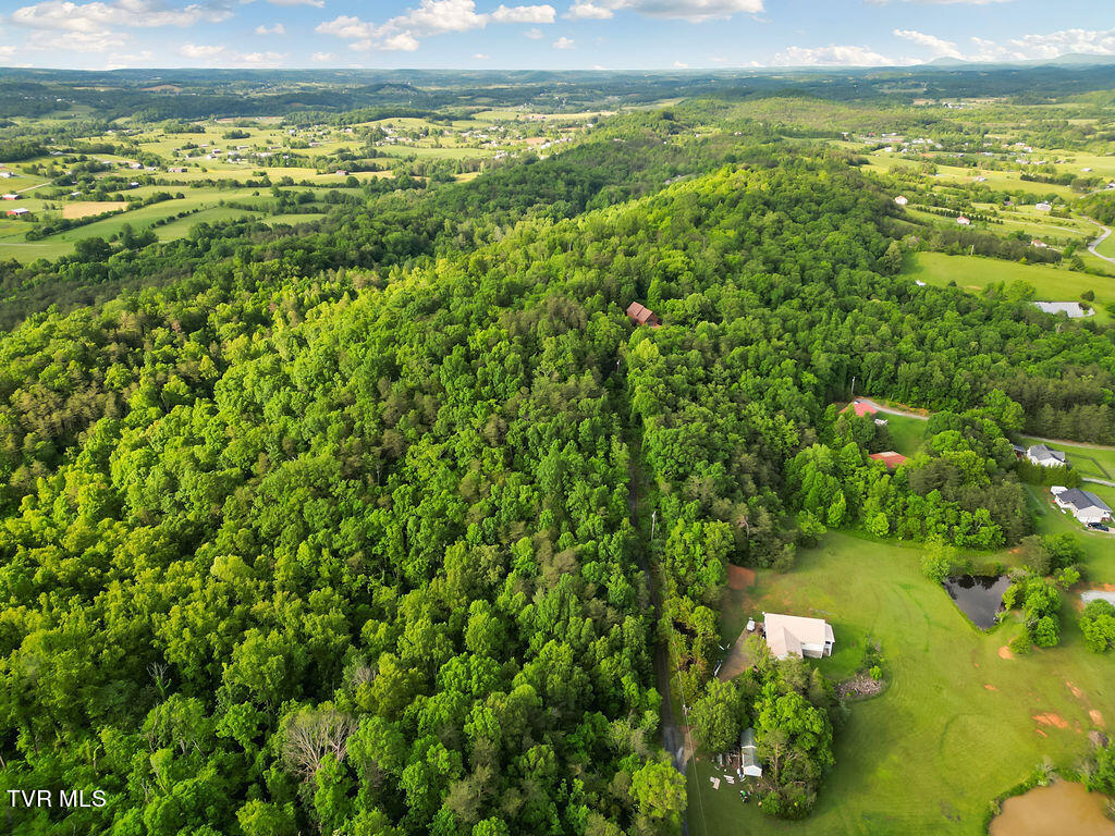 415 Christman Way Greeneville, TN 37743 - Photo 48 of 51 48