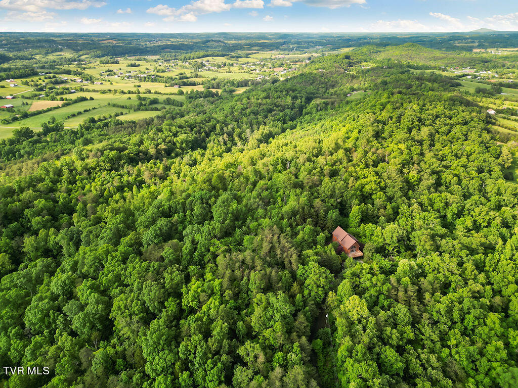 415 Christman Way Greeneville, TN 37743 - Photo 49 of 51 49