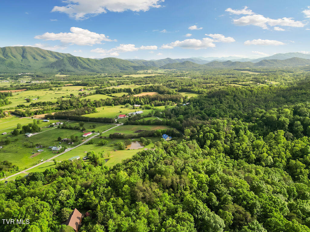 415 Christman Way Greeneville, TN 37743 - Photo 50 of 51 50