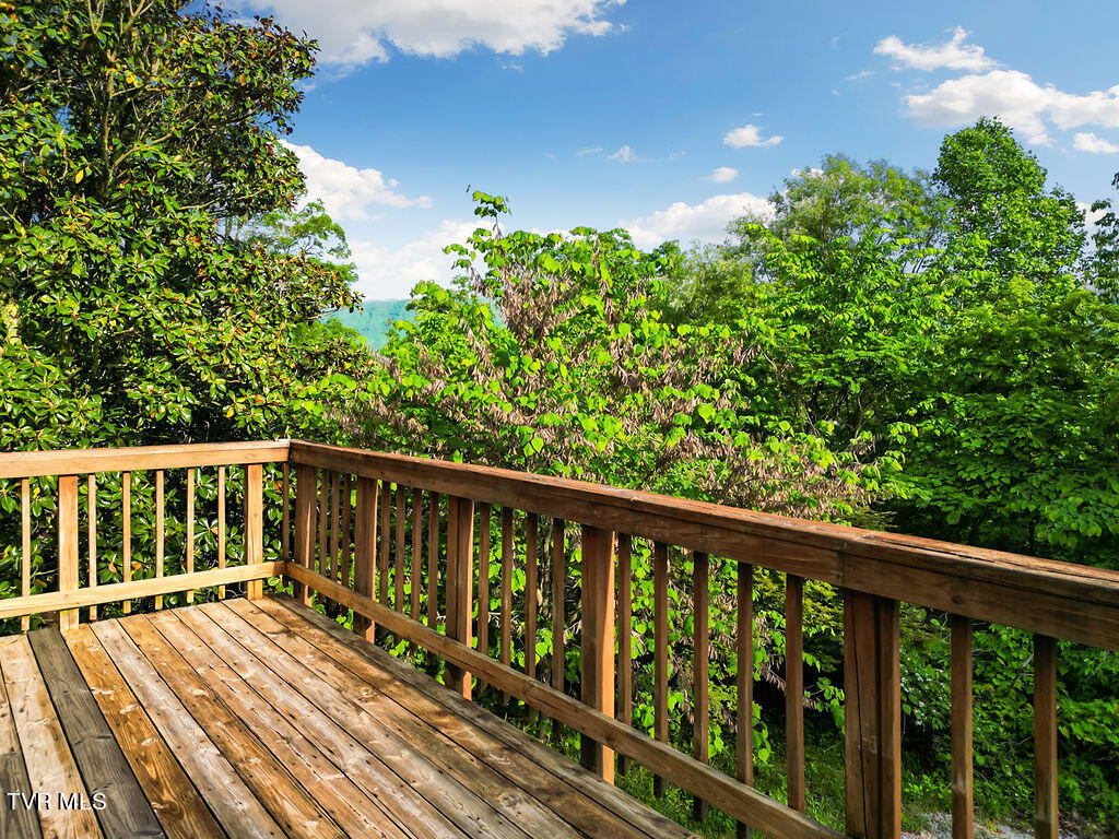 415 Christman Way Greeneville, TN 37743 - Photo 51 of 51 51