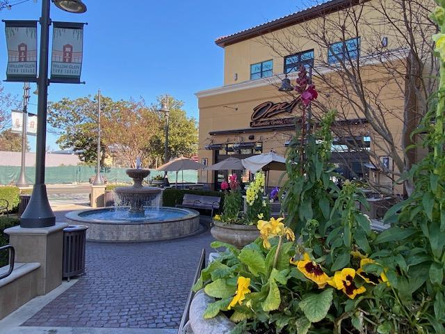 563 Shadow Dance Drive San Jose, CA 95110 - Photo 28 of 30 a front view of house with a yard and fountain