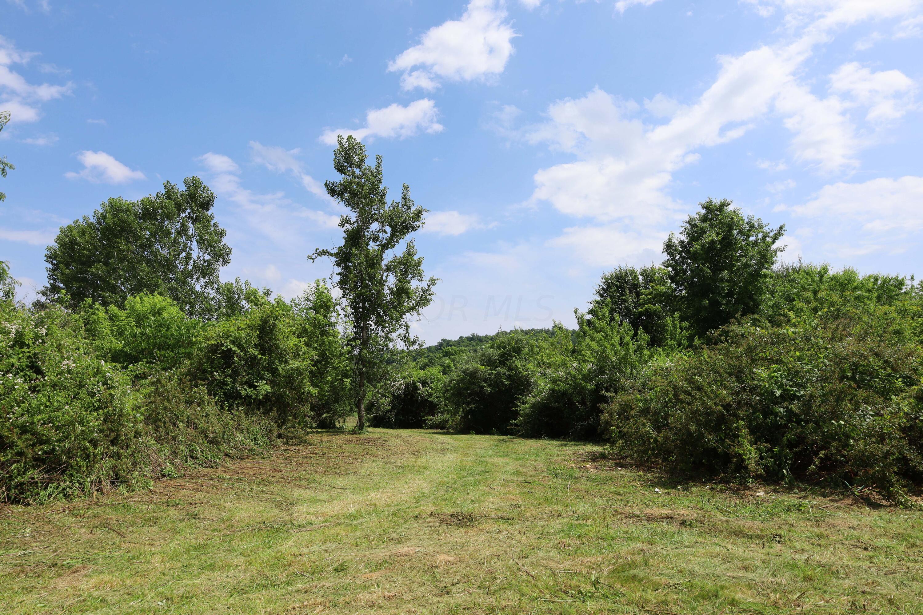 0 Schoolhouse Road Frazeysburg, OH 43822 - Photo 11 of 31 IMG_9568