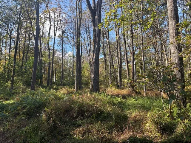 a view of outdoor space and a yard