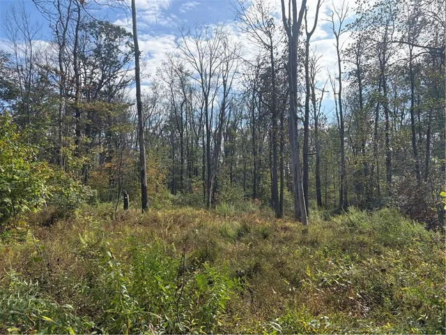 a view of outdoor space and green space