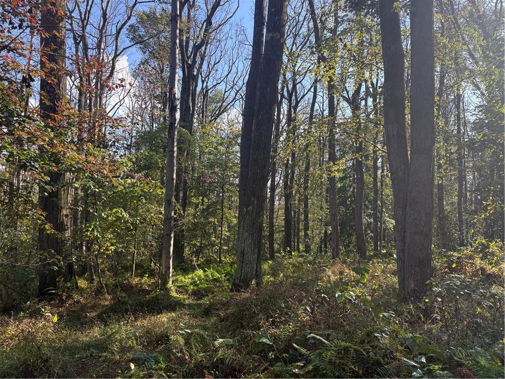 0 County Line Road Champion, PA 15622 - Photo 21 of 23