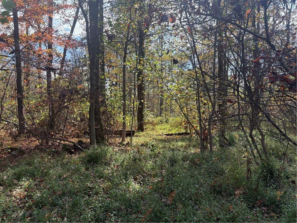 0 County Line Road Champion, PA 15622 - Photo 6 of 23 a view of outdoor space and green space