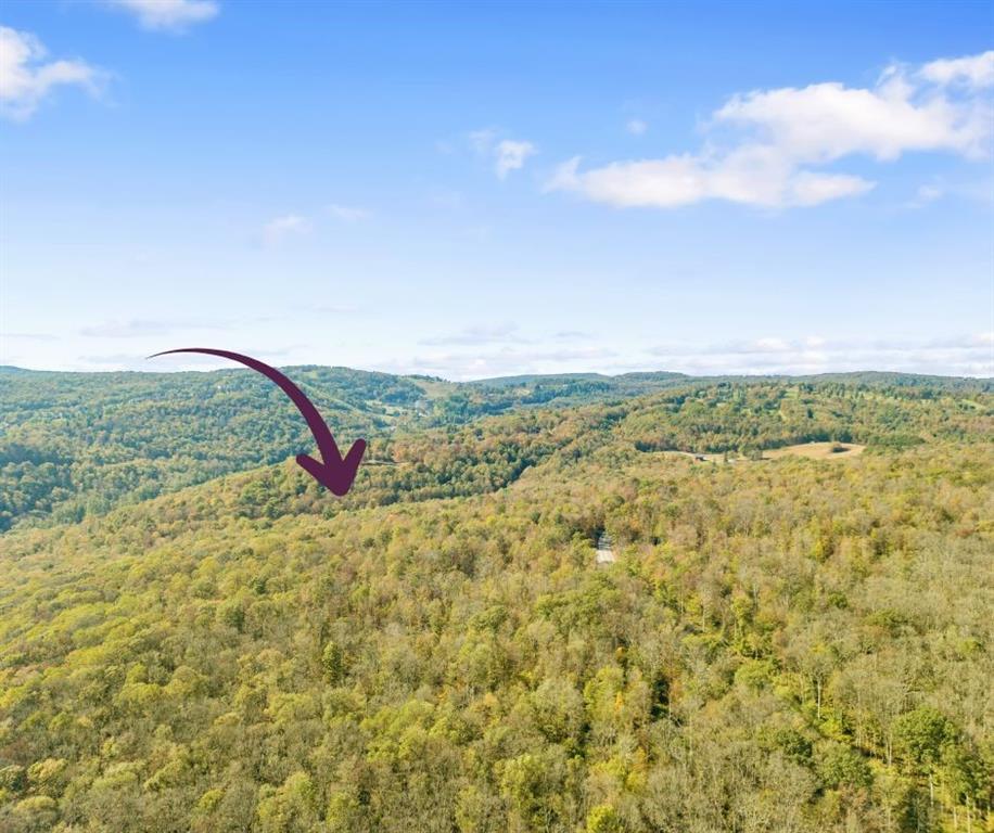 0 County Line Road Champion, PA 15622 - Photo 9 of 23 a view of a field with an ocean