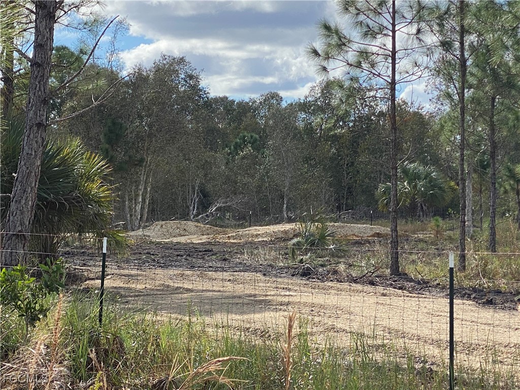 50284 Bermont Road Punta Gorda, FL 33982 - Photo 3 of 13 Gallery Image 3