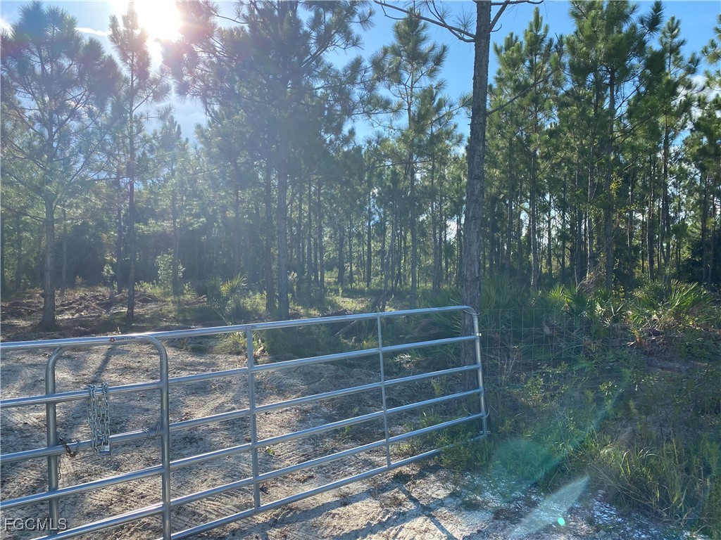 50284 Bermont Road Punta Gorda, FL 33982 - Photo 4 of 13 Gallery Image 4