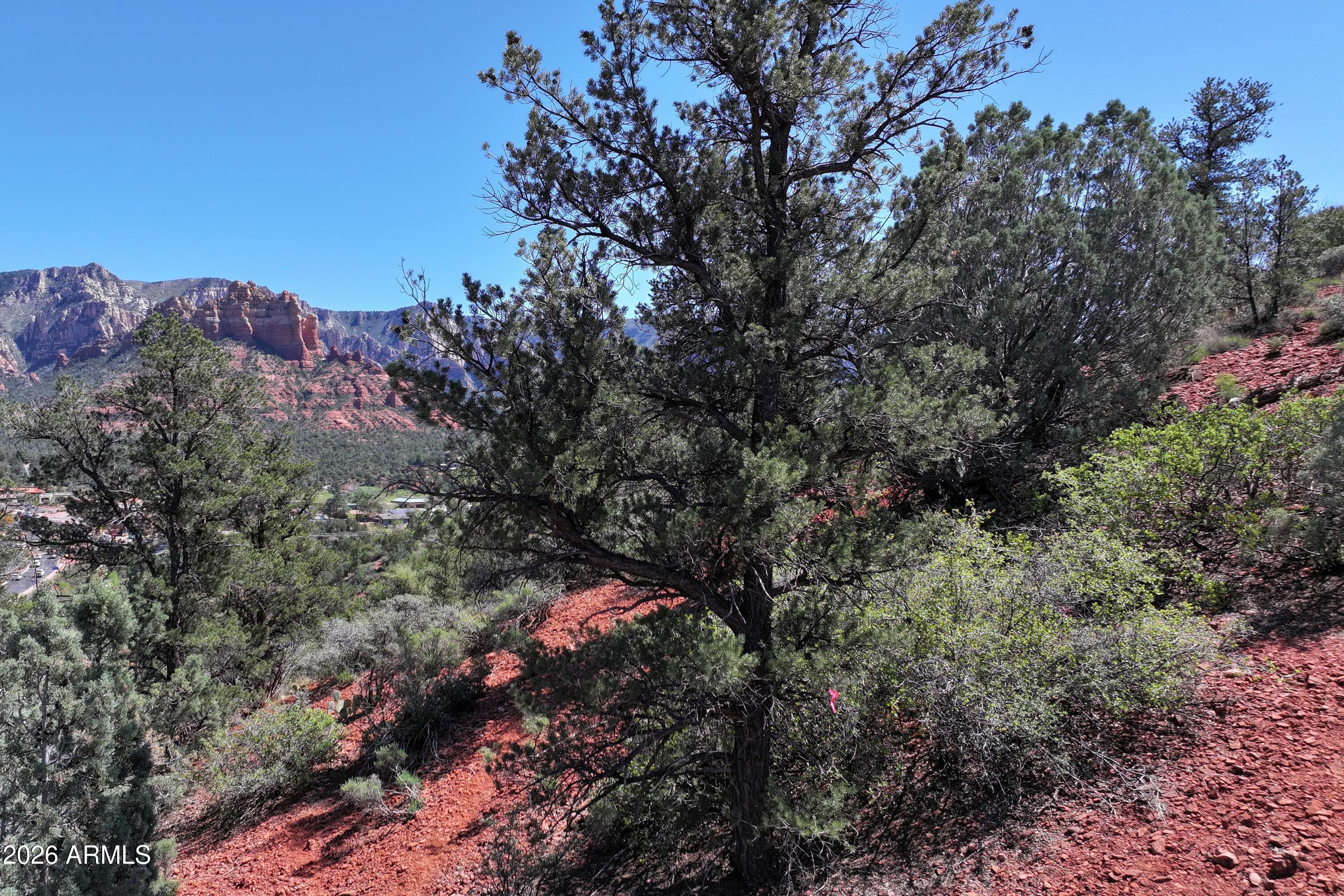 256 Barcelona Road, Unit 81 Sedona, AZ 86336 - Photo 8 of 14 a picture of trees