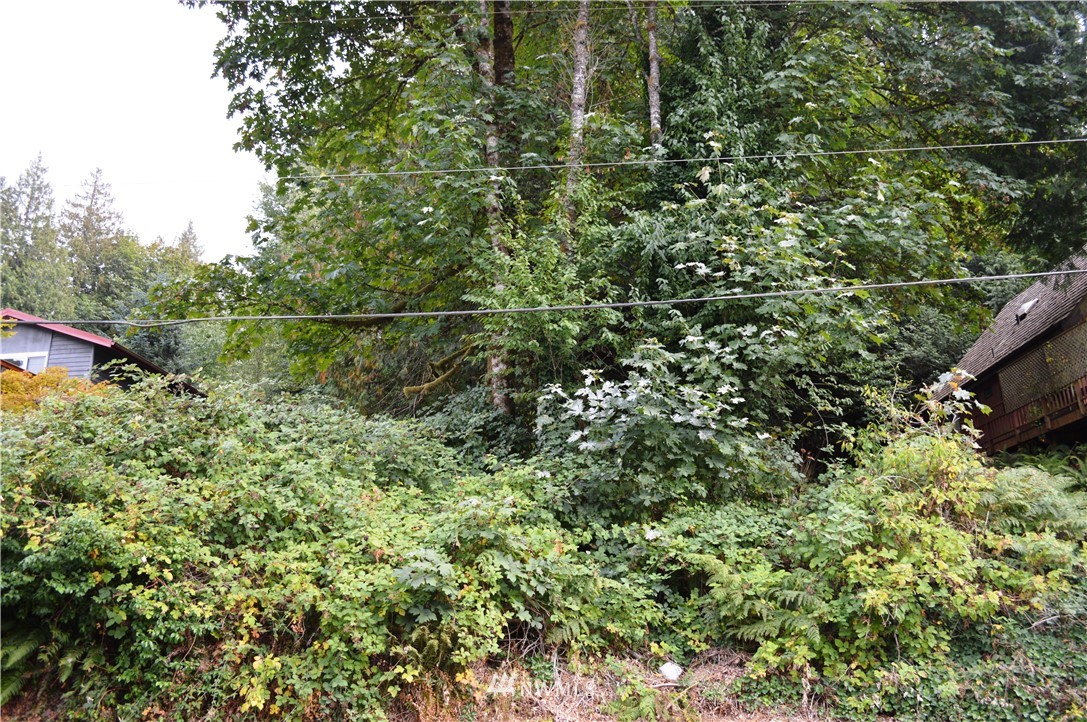 1433 Roy Road Bellingham, WA 98229 - Photo 8 of 17 Gallery Image 8
