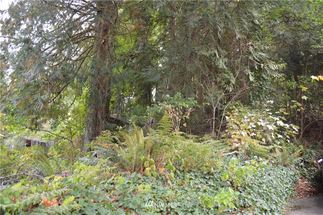 1433 Roy Road Bellingham, WA 98229 - Photo 9 of 17 Gallery Image 9