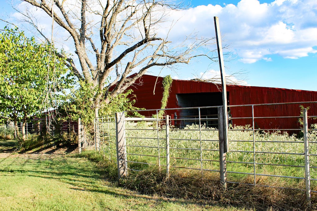 421 Farm To Market 845 Cameron, TX 76520 - Photo 26 of 37 a view of a garden